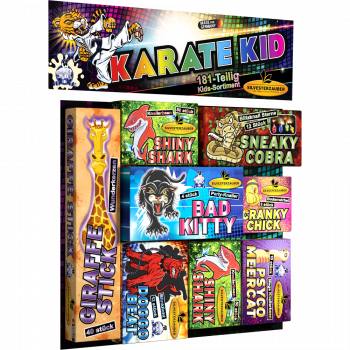 Karate Kid, Sortiment - 181-tlg.