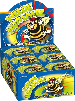 Preview: Wilde Hummel, 3er-Schachtel