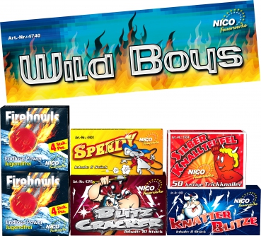 Wild Boys, 6 Schachteln im Sortiment