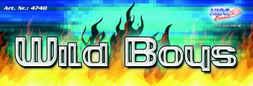 Preview: Wild Boys, 6 Schachteln im Sortiment